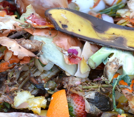 food waste